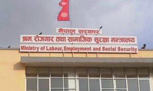 विदेशबाट फर्केका उद्यमीलाई सम्मान गरिने विदेशबाट फर्केका उद्यमीलाई सम्मान गरिने