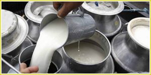 दुधको मूल्य बढाउन बोर्डको प्रस्ताव