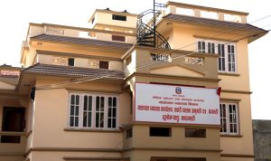 सानो भर्याङ यातायात कार्यालयका ११ दलाल समातिए