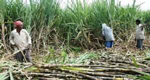 उखु किसानका आन्दोलनको सात वर्ष: पुनः सरकारलाई ज्ञापनपत्र