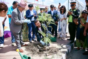 Ncell planted trees along Bagmati Corridor Road, marking 18th anniversary
