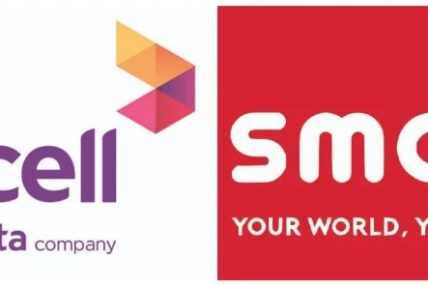 Concerns of parliament and authorities about smart and Ncell-friendly regulations