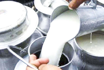 भारतीय दूध आयातमा प्रतिबन्धले किसानलाई राहत