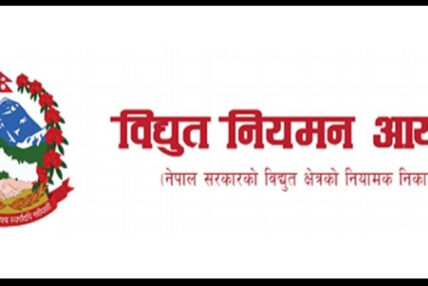 विद्युत् नियमन आयोग पदाधिकारी खुलाबाट छनोट हुँदै