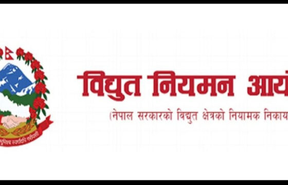 विद्युत् नियमन आयोग पदाधिकारी खुलाबाट छनोट हुँदै
