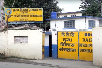 डिडिसीले गर्‍यो दूध किसानलाई १२ करोड भुक्तानी