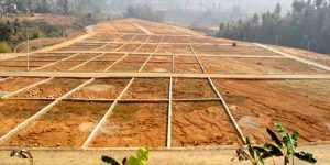 घरजग्गा कारोबारबाट फागुनमा चार अर्ब राजस्व सङ्कलन