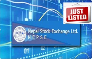 नेप्सेमा थपियो १ करोड ३३ लाख ९२ हजार कित्ता शेयर