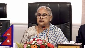 प्रधानमन्त्रीद्वारा नागरिक समाजका अगुवाहरूसँग छलफल