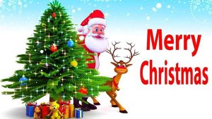 डिसेम्बर २५: ‘क्रिसमस डे’ मनाइँदै