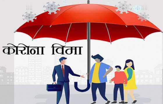 निर्जीवन बिमा व्यवसाय उत्साहजनक, बागमतीको वर्चस्व, मोटर अग्रपंक्तिमा