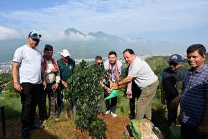 स्ट्यान्डर्ड चार्टर्ड बैंक नेपाल लिमिटेडले वृक्षारोपण अभियानका साथ विश्व वातावरण दिवस मनायो
