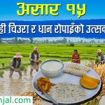 सांस्कृतिक पर्व असार १५ः धान दिवससहित दही चिउरा खाएर मनाइँदै