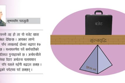 बजेट कार्यान्वयनका चुनौती
