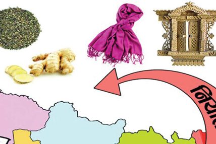 नेपालबाट विदेशमा हुने वस्तु निर्यात निरन्तर