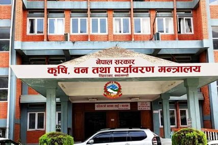 चिया तथा कफी क्षेत्रको सुधार र पुनर्संरचनाका लागि उच्चस्तरीय कार्यदल गठन गर्ने निर्णय